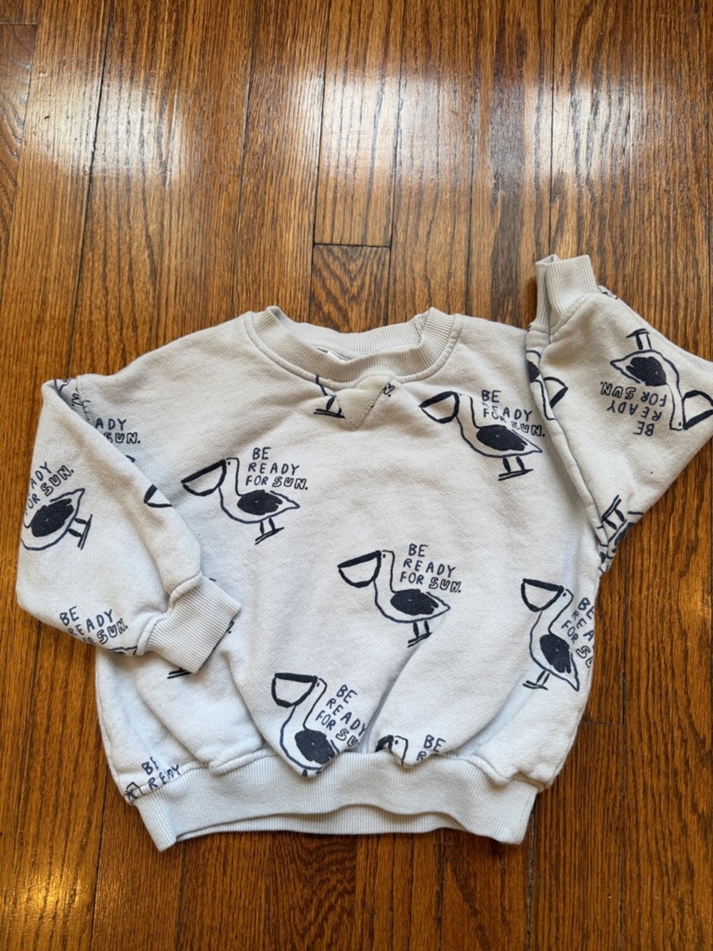 Zara Baby Toddler Pelicans Crewneck Sweatshirt.